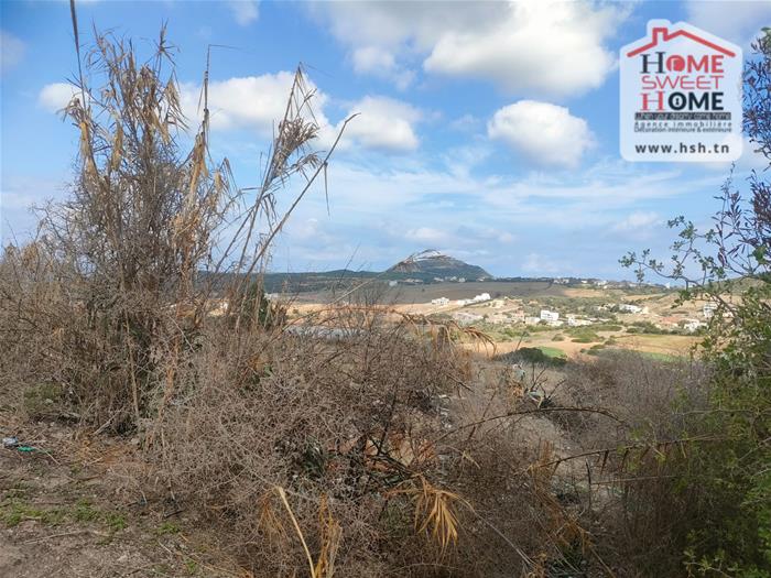 Bizerte Sud Ain El Berda Terrain Terrain nu Terrain villa elora  an berda bizerte