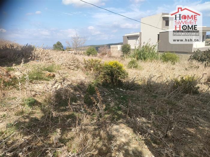 Bizerte Sud Ain El Berda Terrain Terrain nu Terrain villa elora  an berda bizerte