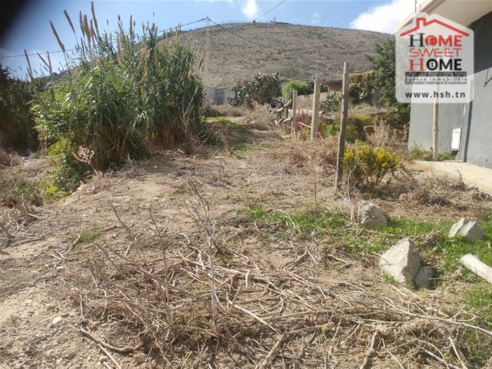 Bizerte Sud Ain El Berda Terrain Terrain nu Terrain villa elora  an berda bizerte