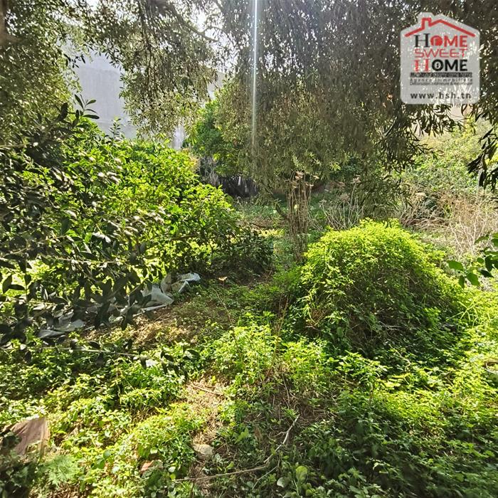 Bizerte Nord Bizerte Terrain Terrain nu Terrain villa altia  corniche bizerte