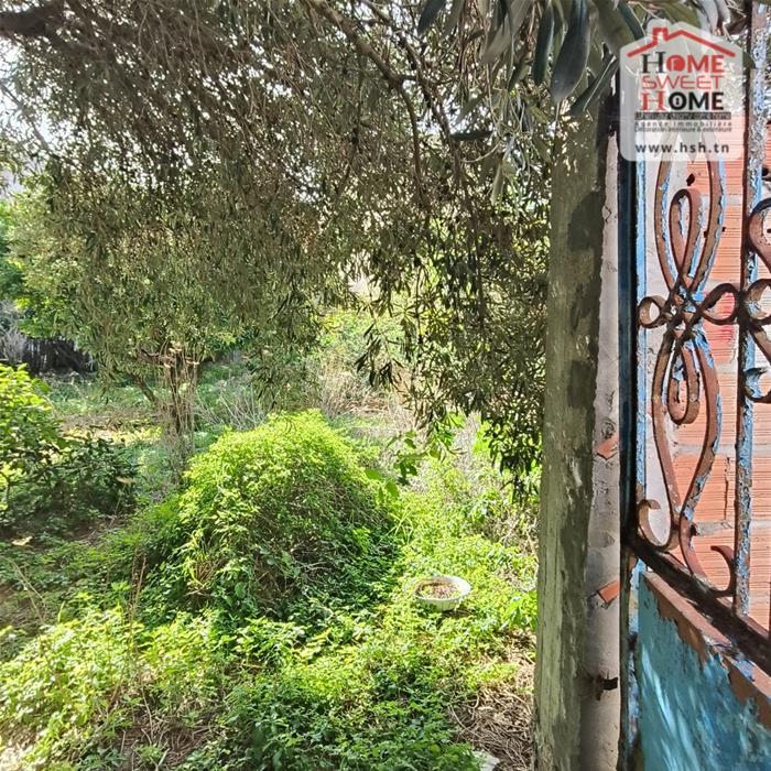 Bizerte Nord Bizerte Terrain Terrain nu Terrain villa altia  corniche bizerte