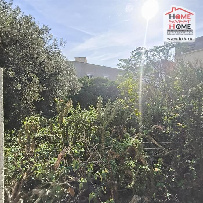 Bizerte Nord Bizerte Terrain Terrain nu Terrain villa altia  corniche bizerte