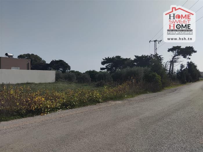 Kelibia Dar Allouche Terrain Terrain nu Terrain villa liva  dar allouche kelibia