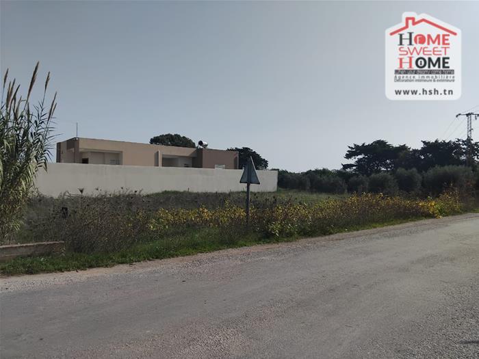 Kelibia Dar Allouche Terrain Terrain nu Terrain villa liva  dar allouche kelibia