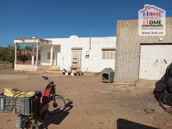 Mejez El Bab Mejez El Bab Terrain Terrain agricole Terrain agricole agrisol  mjez el beb