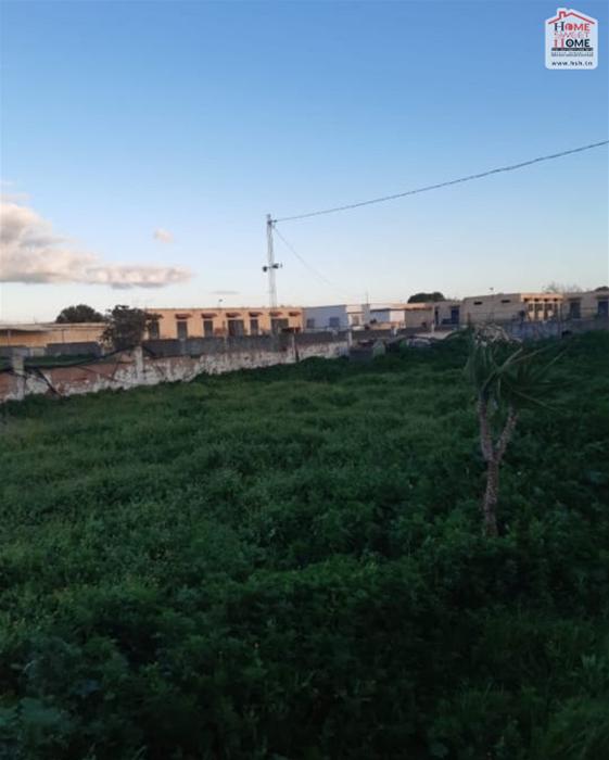 Soliman Soliman Vente Surfaces Terrain agricole baya  solimen