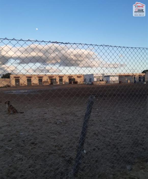 Soliman Soliman Vente Surfaces Terrain agricole baya  solimen