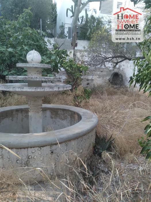 Bab Bhar Bab Bhar Vente Maisons Villa  rnover tulipe  france ville