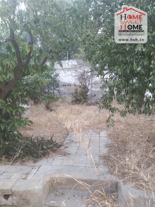 Bab Bhar Bab Bhar Vente Maisons Villa  rnover tulipe  france ville