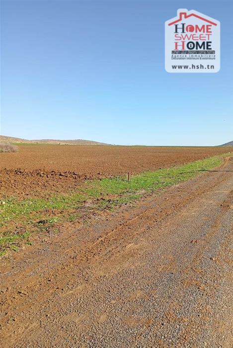 Mejez El Bab Mejez El Bab Terrain Terrain agricole Terrain agricole fertilia  mjez el beb