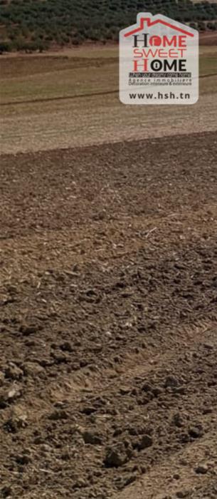 Mejez El Bab Mejez El Bab Terrain Terrain agricole Terrain agricole fertilia  mjez el beb