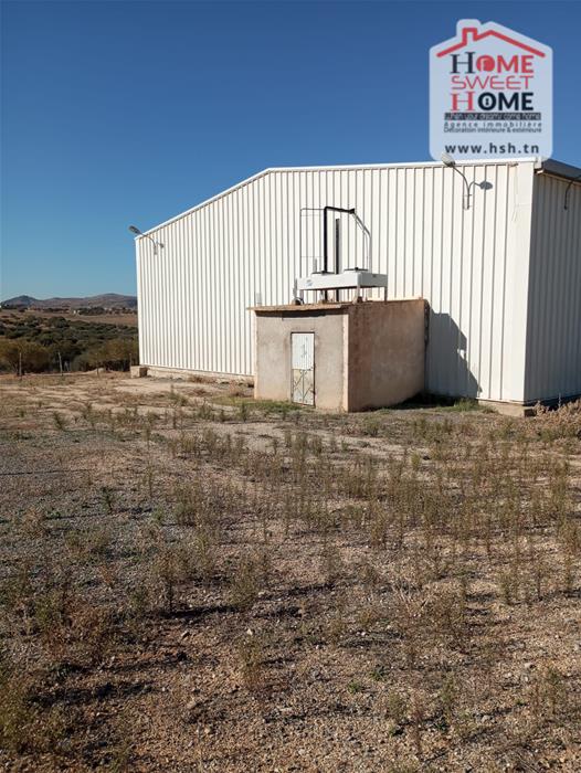 Testour Testour Terrain Terrain agricole Terrain agricole cultiva  testour