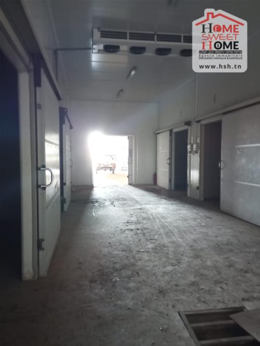 Testour Testour Terrain Terrain agricole Terrain agricole cultiva  testour