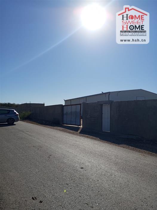 Testour Testour Terrain Terrain agricole Terrain agricole cultiva  testour