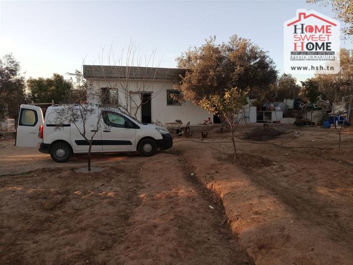 Sousse Ville Sousse Terrain Terrain agricole Terrain agricole ecovera  sousse