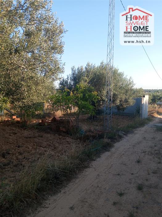 Sousse Ville Sousse Terrain Terrain agricole Terrain agricole ecovera  sousse