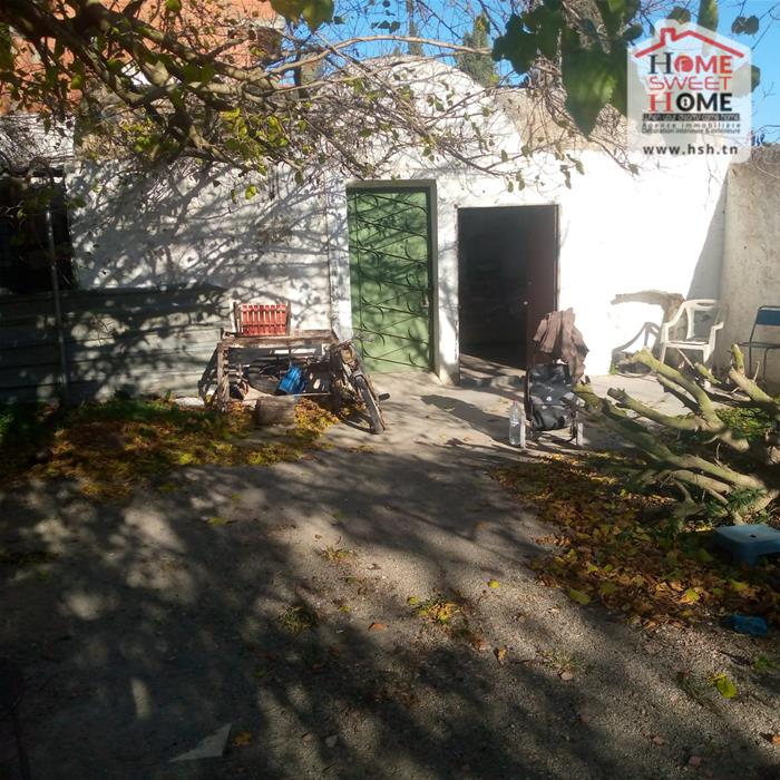 Menzel Bouzelfa Menzel Bouzelfa Terrain Terrain agricole Terrain agricole olivora  menzel bouzelfa