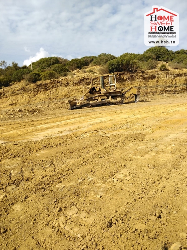 Takelsa Takelsa Terrain Terrain agricole Terrain agricole chouour  takelsa