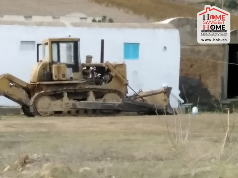 Takelsa Takelsa Terrain Terrain agricole Terrain agricole chouour  takelsa