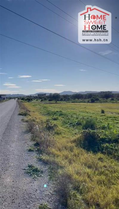 Hammamet Hammamet Terrain Terrain agricole Terrain agricole tara  hammamet
