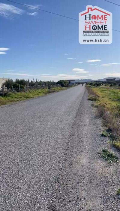 Hammamet Hammamet Terrain Terrain agricole Terrain agricole tara  hammamet