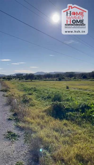 Hammamet Hammamet Terrain Terrain agricole Terrain agricole tara  hammamet