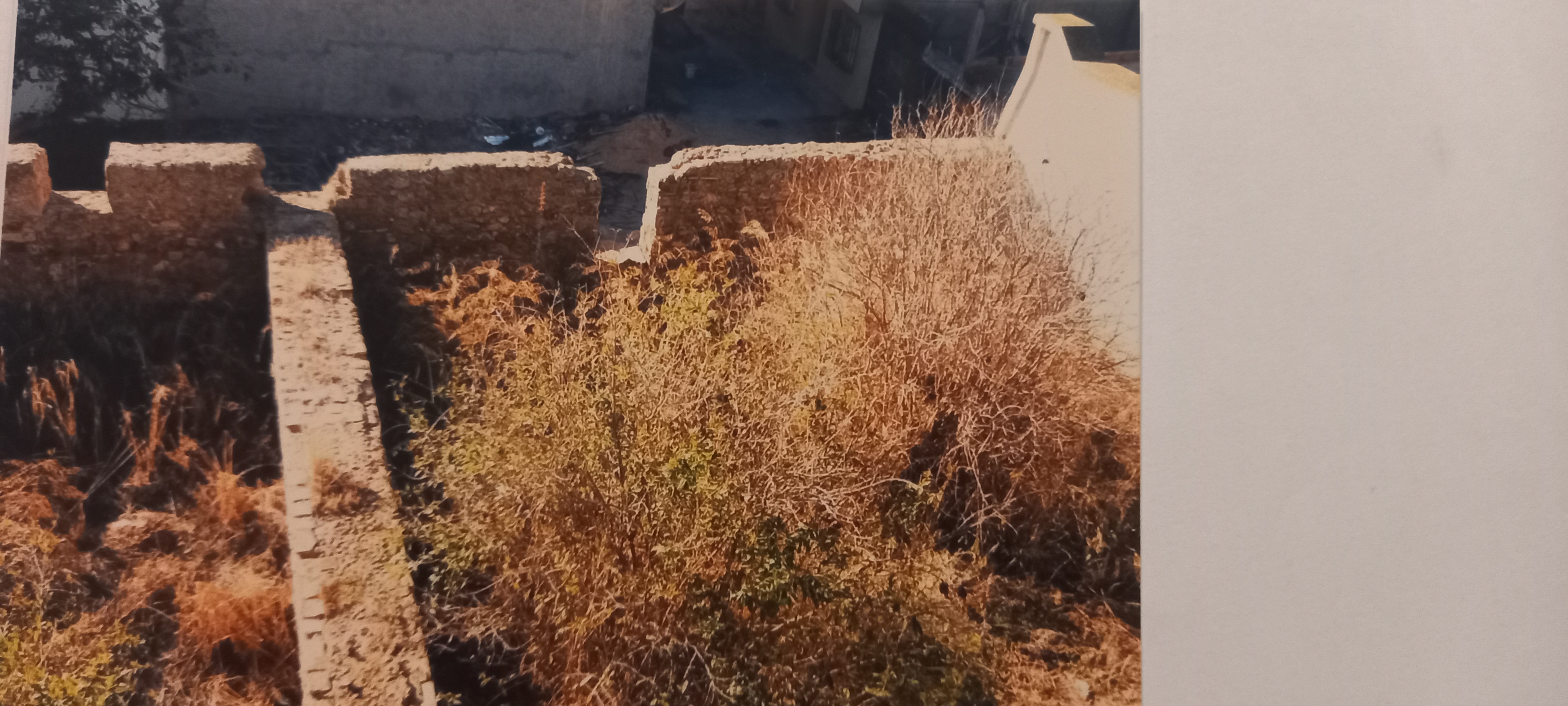 Ghar El Melh Ghar El Melh Vente Maisons Maison arabe