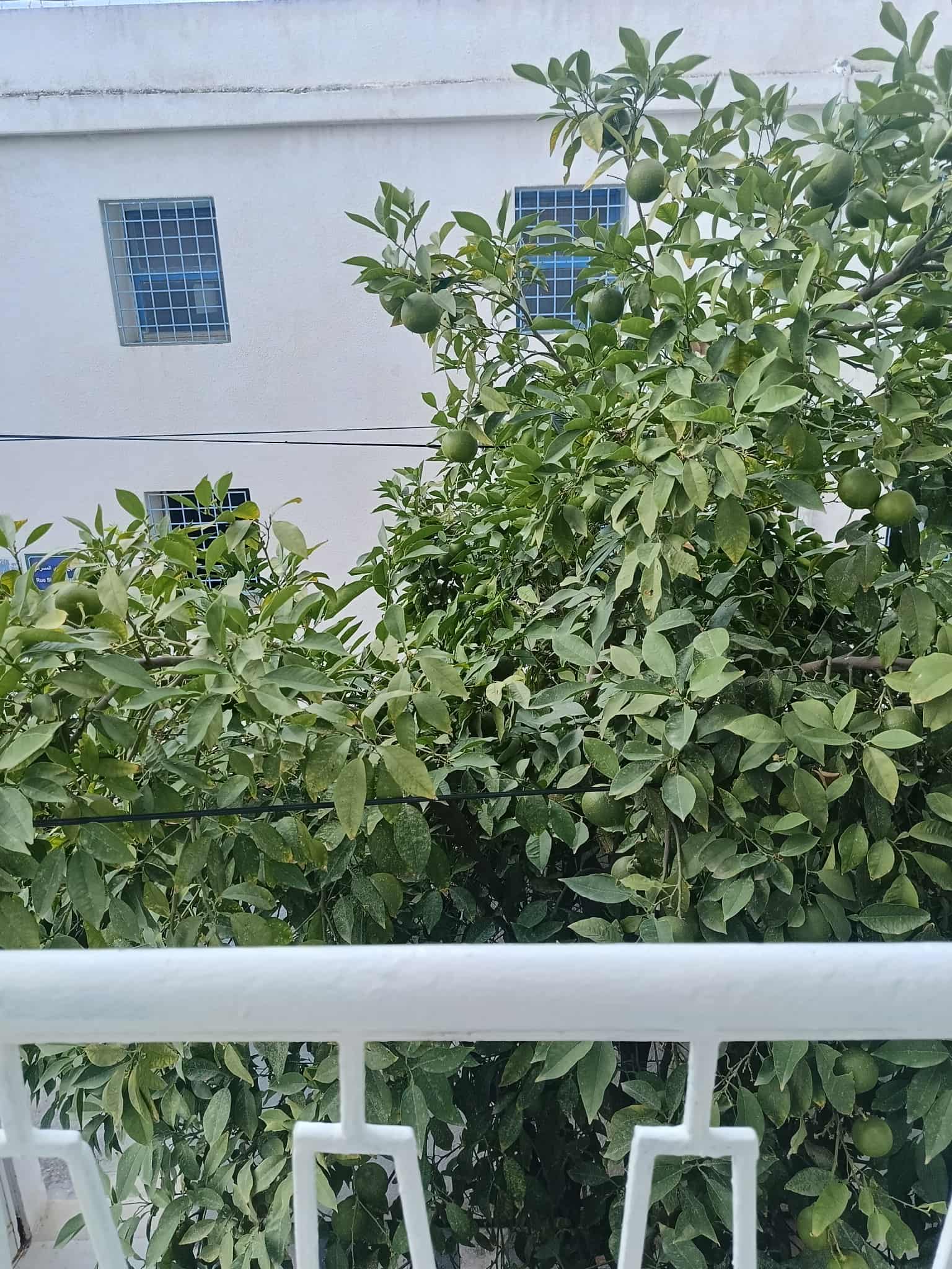 Ettahrir Cite Ettahrir Sup. Vente Duplex Un spacieux duplex