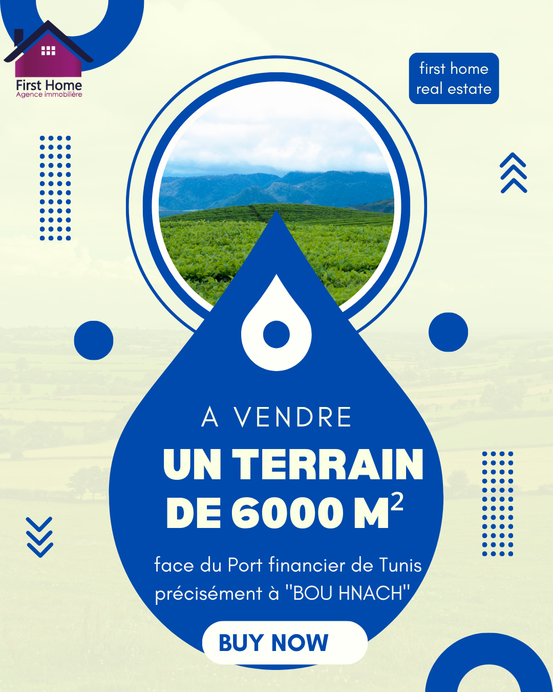 Raoued Bou Hnech Terrain Terrain agricole Terrain en face du port financier