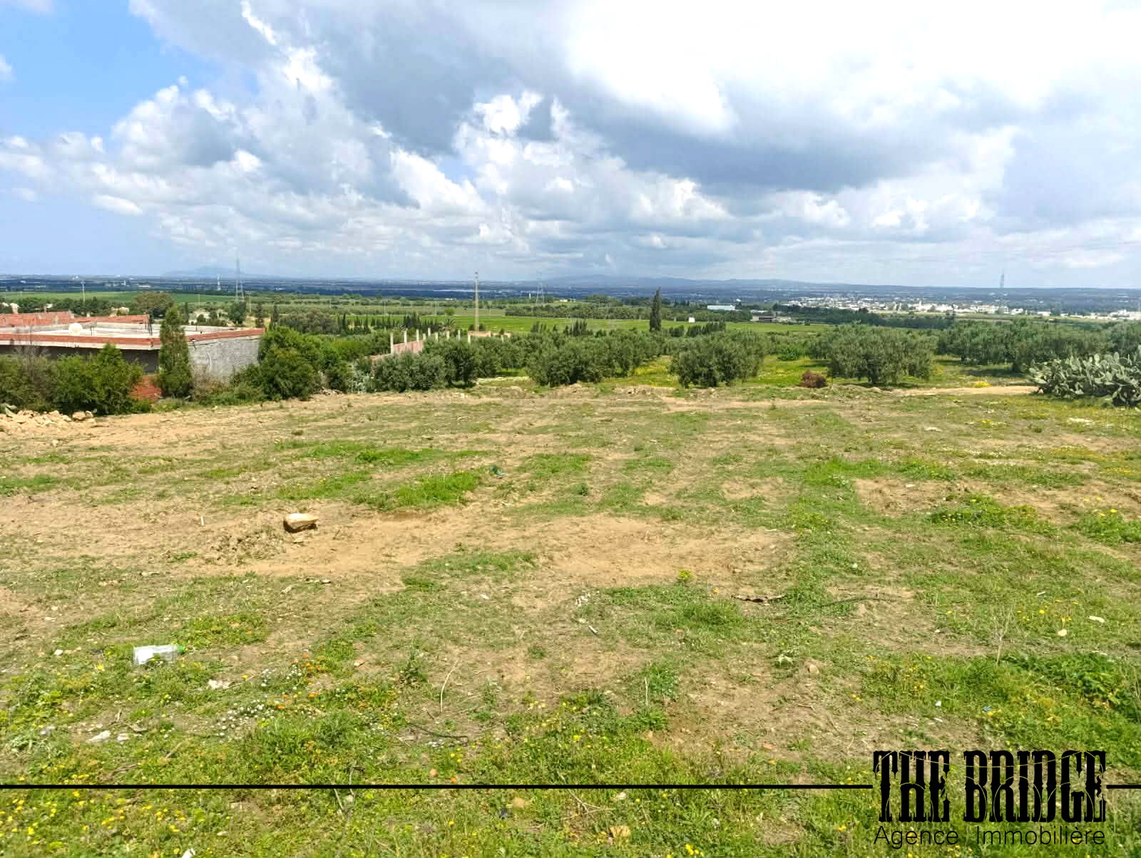 Bou Argoub Cite De La Carriere Terrain Terrain nu 1000 mc vue sur les vergers de bou argoub