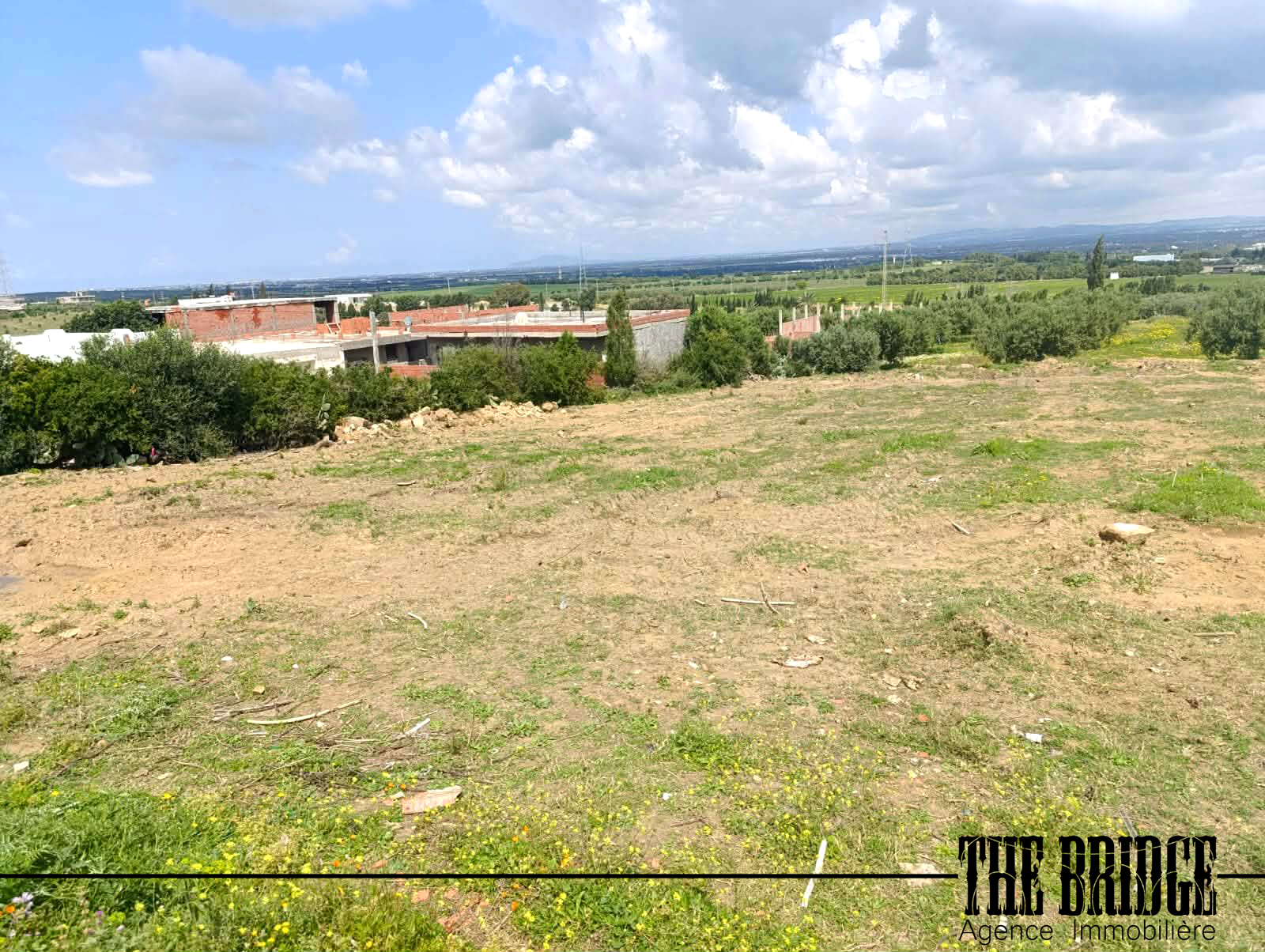 Bou Argoub Cite De La Carriere Terrain Terrain nu 1000 mc vue sur les vergers de bou argoub