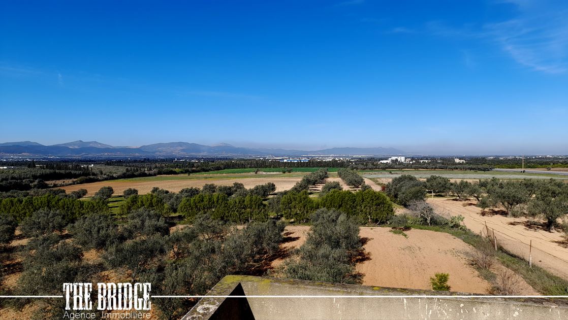 Bou Argoub El Mhedhba Terrain Terrain agricole Ferme   mhedhba route nabeul