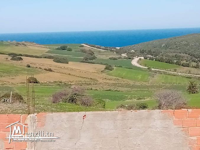 Bizerte Nord Ennadhour Terrain Terrain nu Terrain a ain berda bizerte