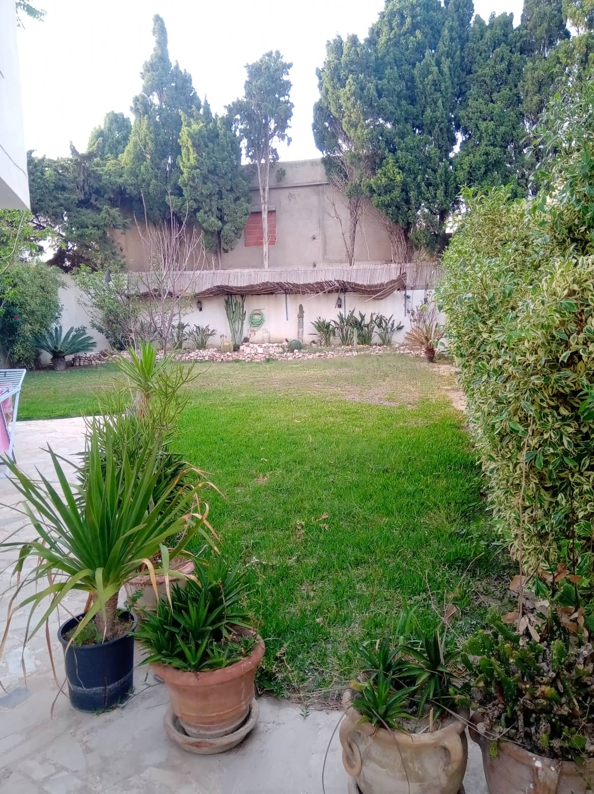 Bizerte Nord Bizerte Location Appart. 2 pices Appartement meubl  l'anne  corniche bizerte