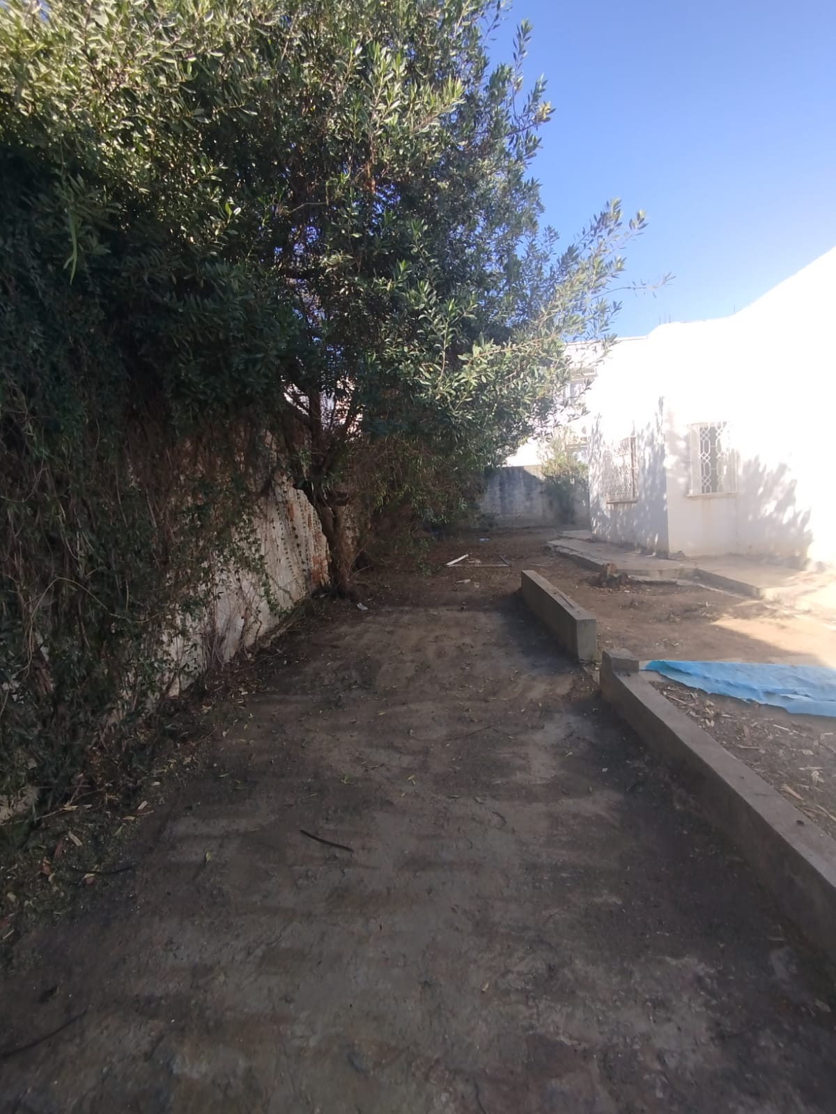 El Menzah El Menzah 9 Location Maisons Une villa plainpied  menzah9b