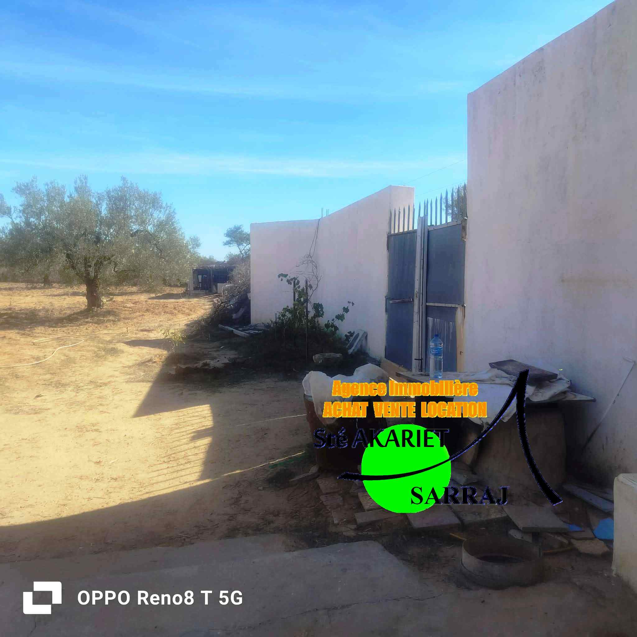 Kalaa Essghira Oued Laya Terrain Terrain agricole Senia cltur 3300m  kalaa sghira oued laya