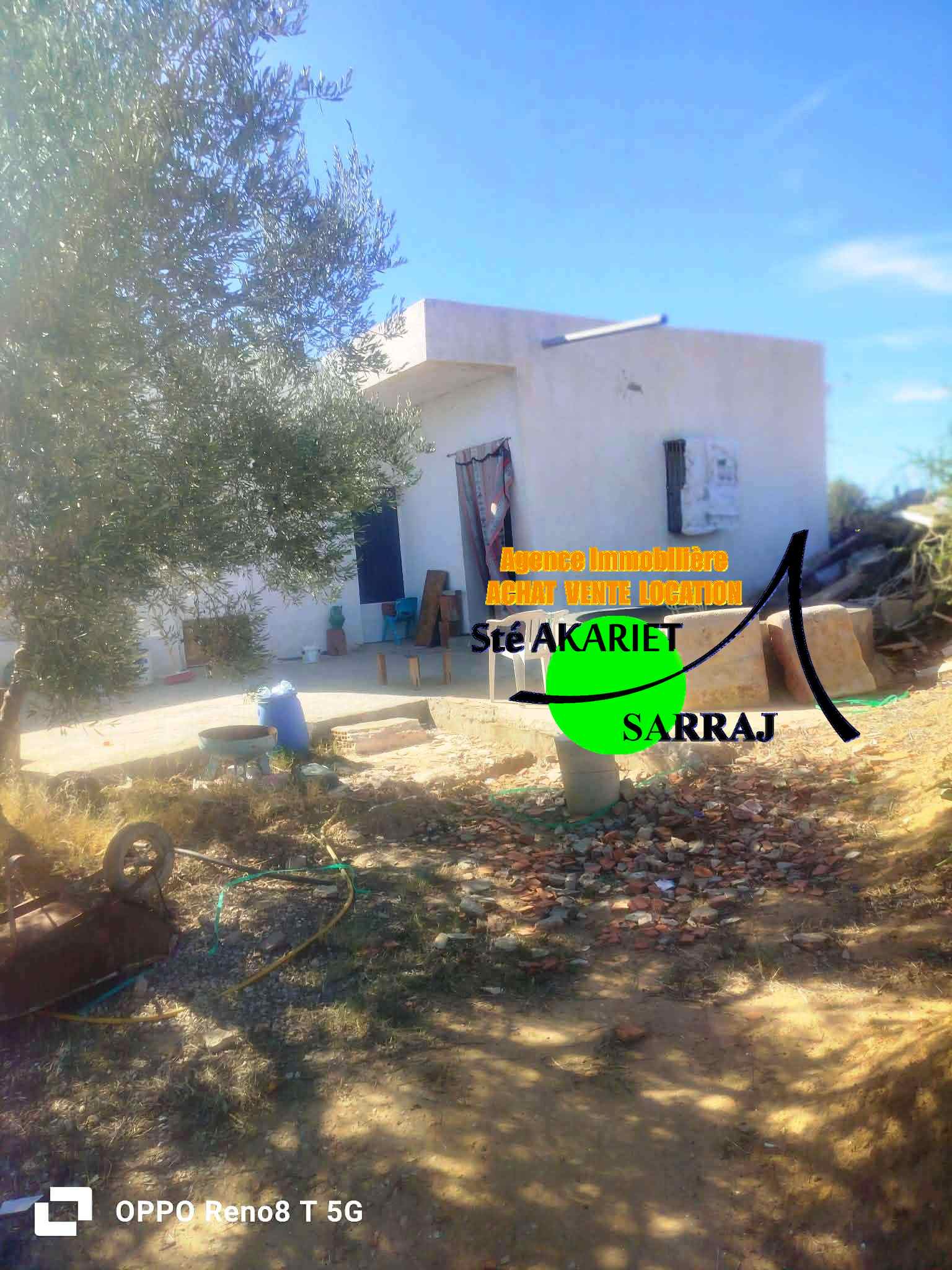 Kalaa Essghira Oued Laya Terrain Terrain agricole Senia cltur 3300m  kalaa sghira oued laya