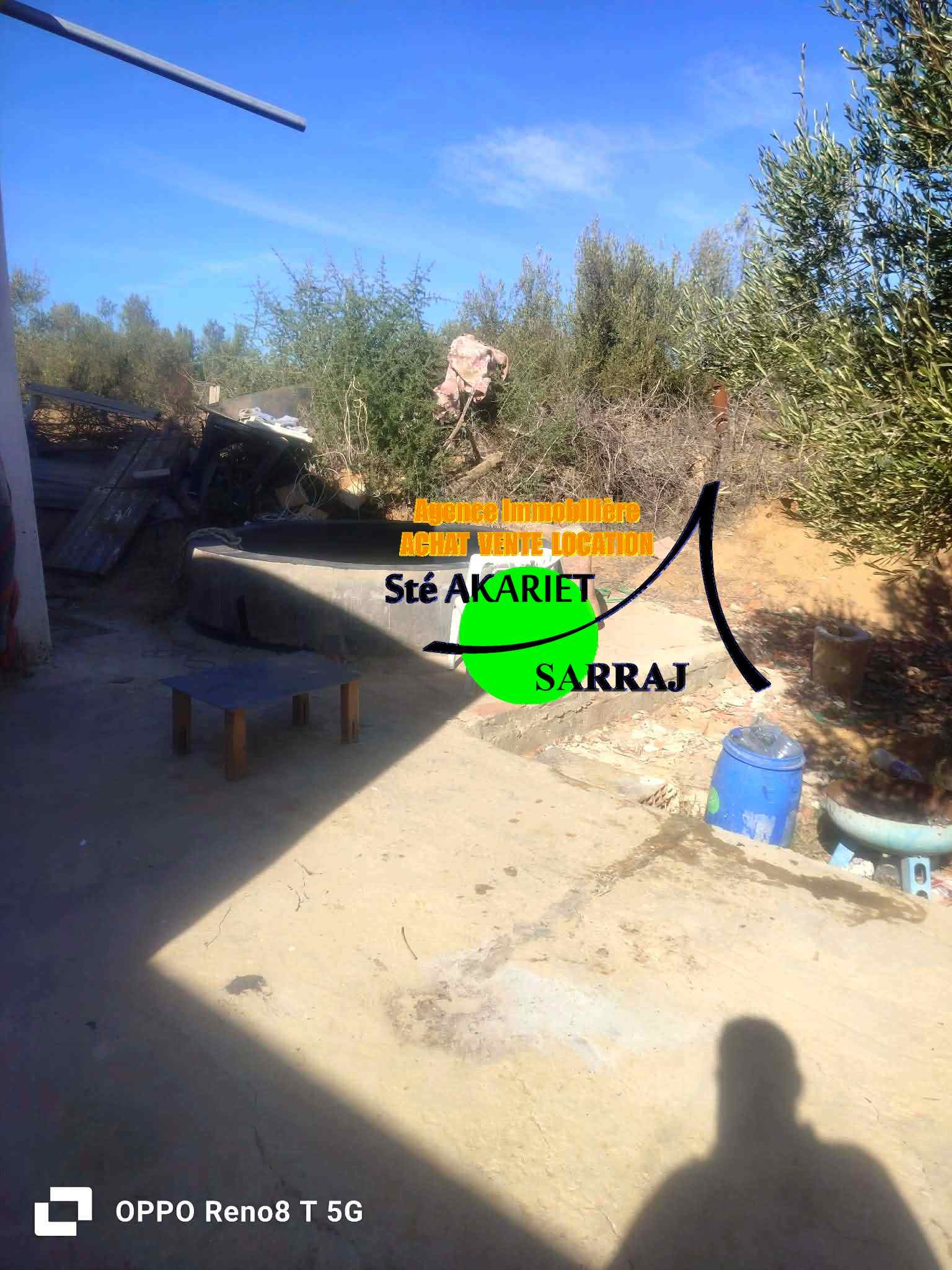 Kalaa Essghira Oued Laya Terrain Terrain agricole Senia cltur 3300m  kalaa sghira oued laya