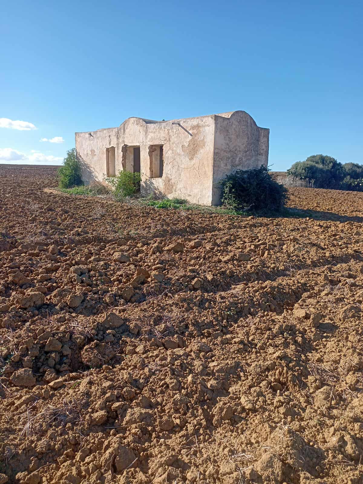 Kelibia Dar Allouche Terrain Terrain agricole Deux hectares avec un maison arab