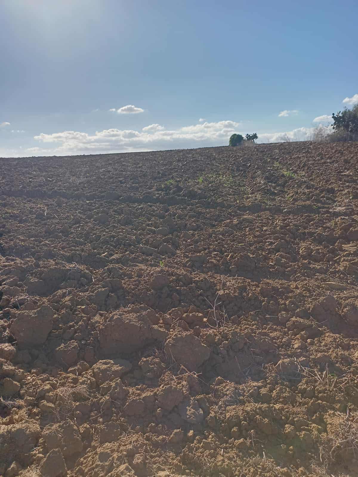Kelibia&nbsp;Kelibia&nbsp;Vente&nbsp;Maisons&nbsp;3hectars et 3000m2 avec un puit