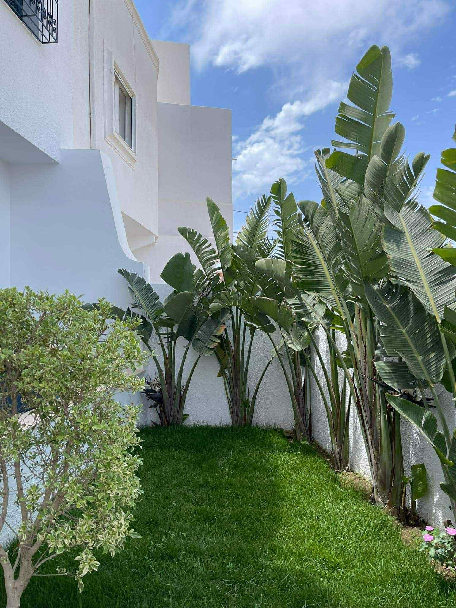 Kelibia&nbsp;Kelibia&nbsp;Vente&nbsp;Maisons&nbsp;Villa � plage fatha kelibia