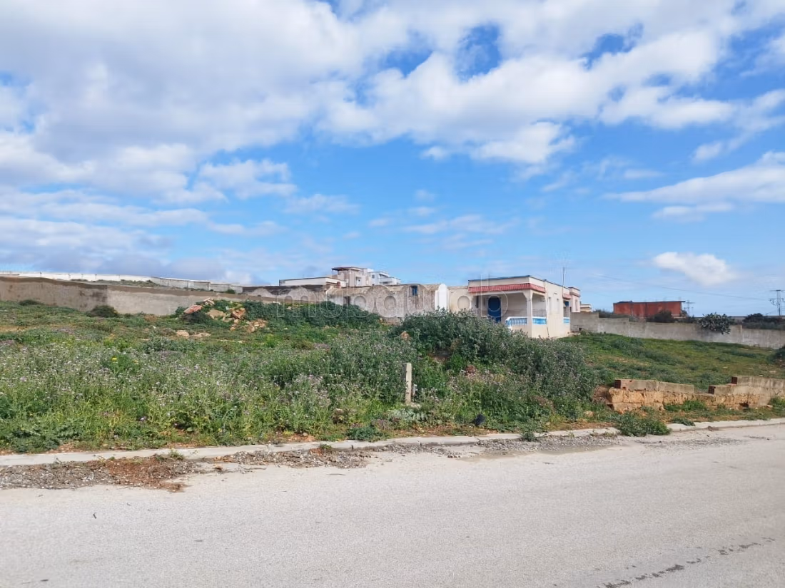 El Haouaria El Haouaria Terrain Terrain nu Terrain  haouaria prs de la plage