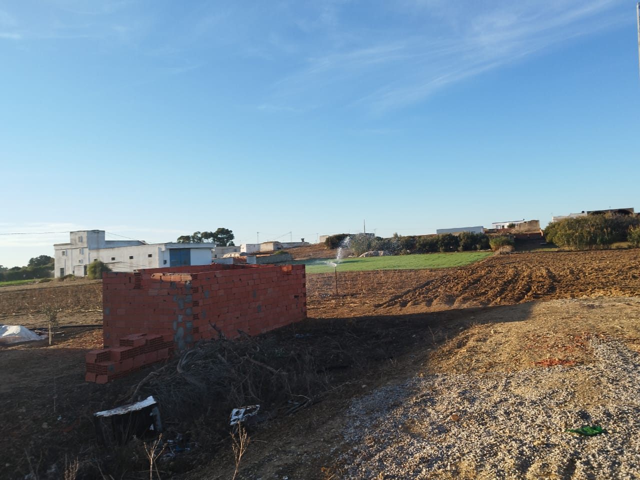 El Haouaria El Haouaria Terrain Terrain agricole Investissement de 4000m  haouaria