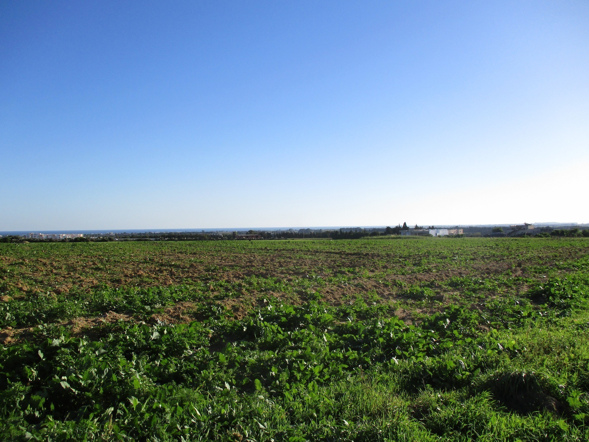 Kelibia Kelibia Terrain Terrain nu Lotissement  klibia