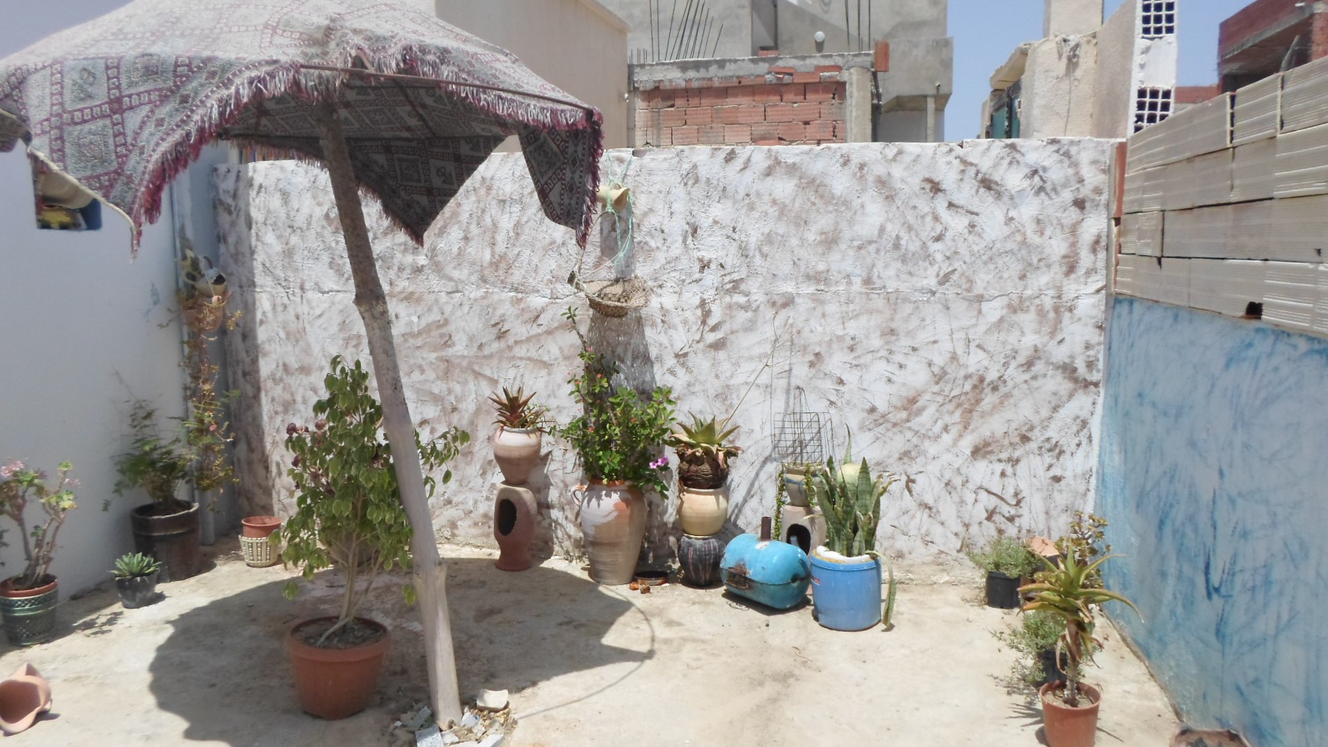 Kelibia Kelibia Vente Maisons Maison a kelibia