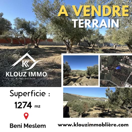 Bizerte Nord Bizerte Terrain Terrain agricole Terrain beni meslem bizerte