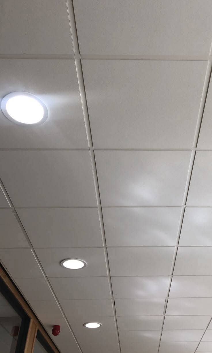 Mannouba La Mannouba Emploi de maison Autre Dcoration plafond