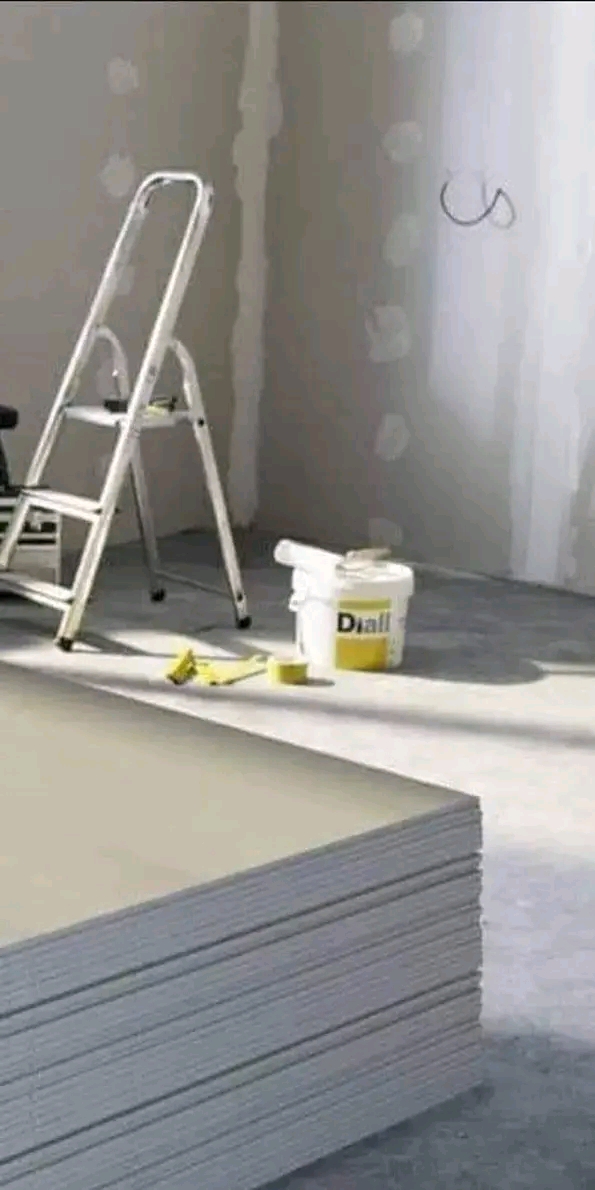 Ariana Ville Ariana Peinture Autre Tous travaux de placopltre