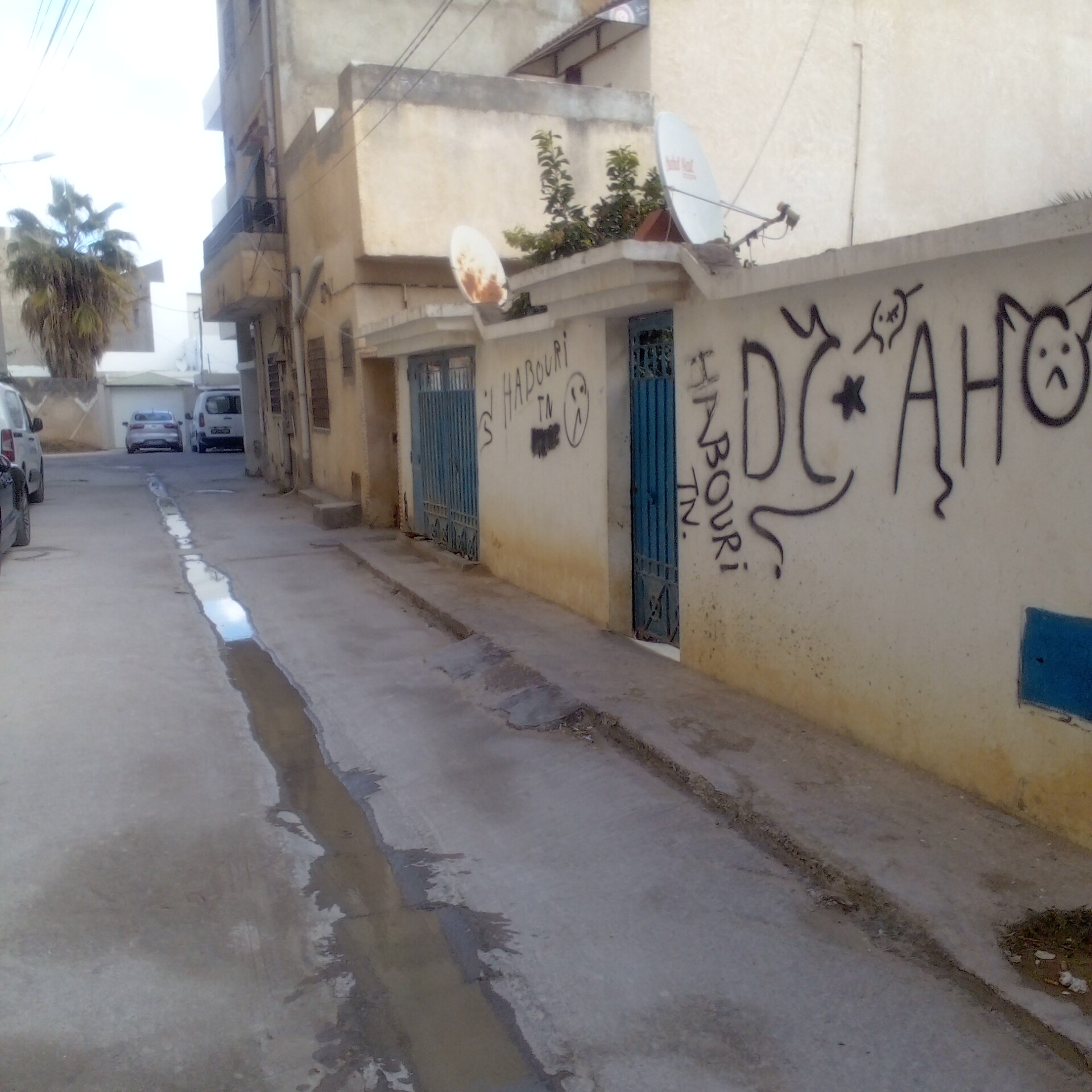 La Soukra Mosque Erraoudha Vente Autre Un terrain  103 000 dt