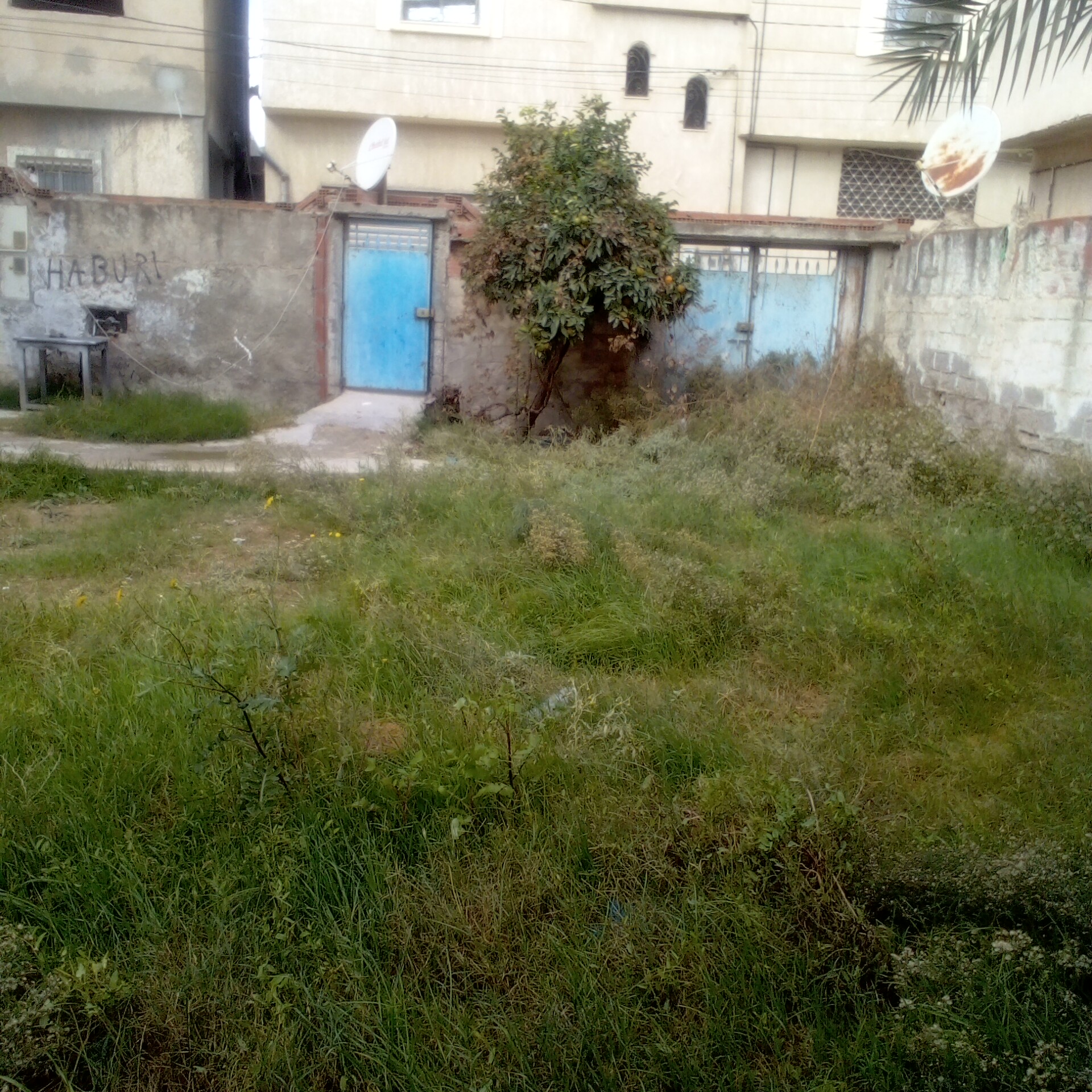 La Soukra Mosque Erraoudha Vente Autre Un terrain  103 000 dt